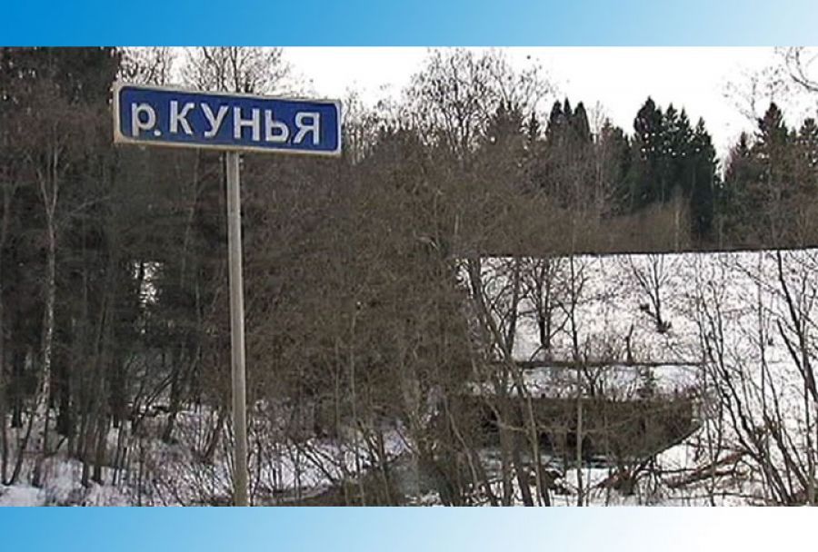 Реку Кунью проверят на химикалии