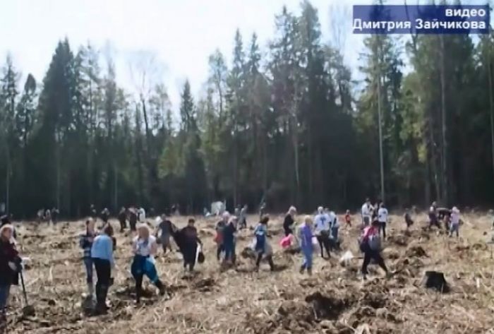Акция «Лес Победы» пройдет 12 мая по всему Подмосковью