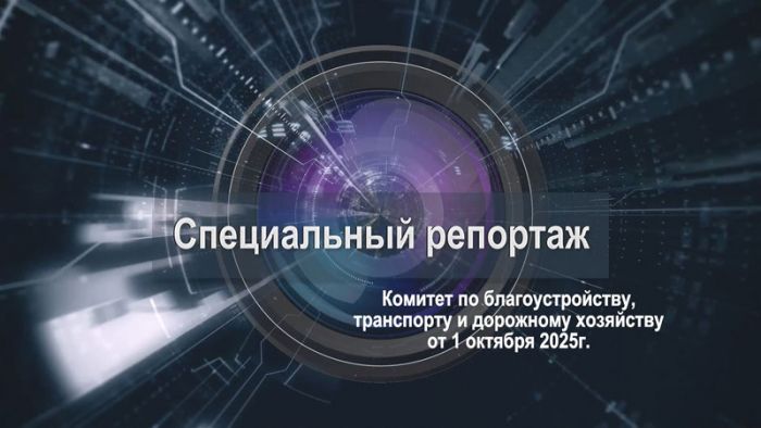 «Специальный репортаж». Заседание комитета по благоустройству, транспорту и дорожному хозяйству