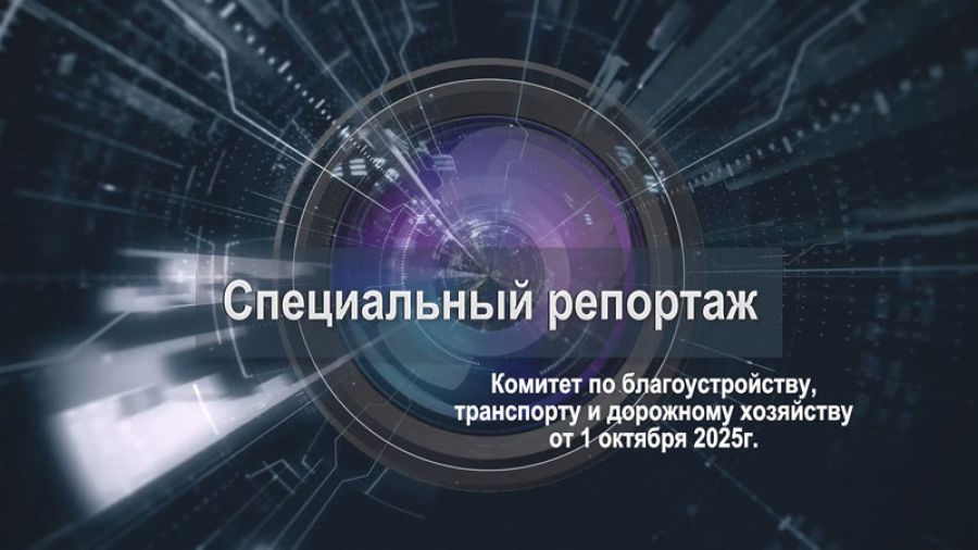 &laquo;Специальный репортаж&raquo;. Заседание комитета по благоустройству, транспорту и дорожному хозяйству