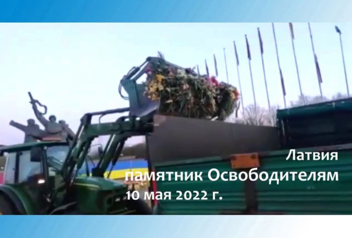 Они боятся даже цветов...