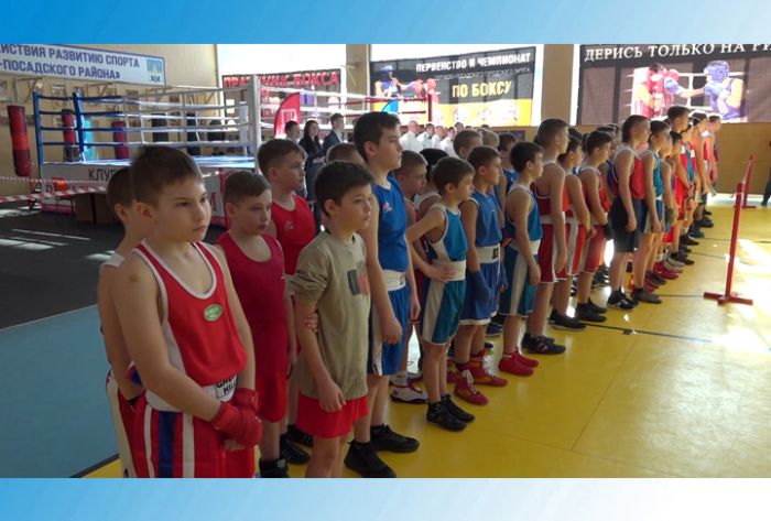 Соревнования по боксу собрали около сотни спортсменов