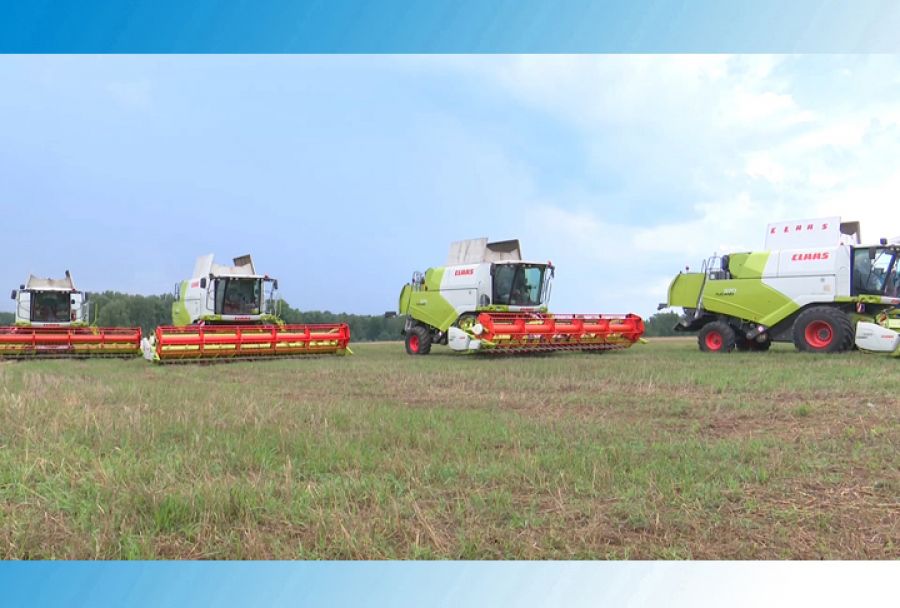 Уборка зерновых в деревне Ново