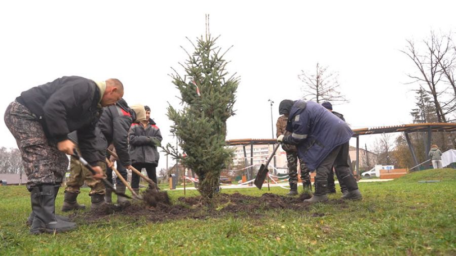 Озеленение Сергиево-Посадского округа продолжается