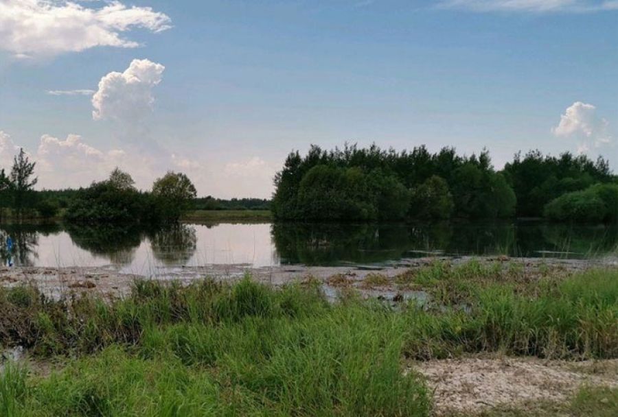 Река Дубна загрязнилась по нескольким причинам