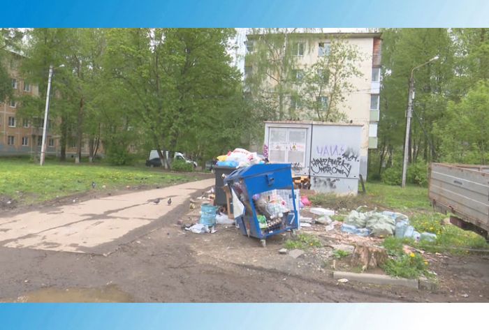 Пути решения мусорной проблемы
