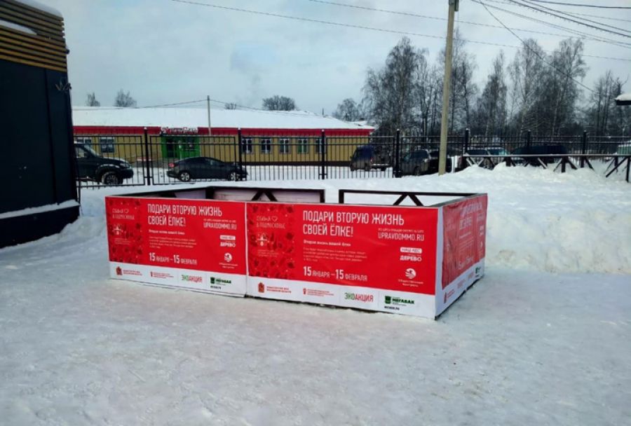 Экоакция «Подари ёлке вторую жизнь» стартует в Сергиево-Посадском округе