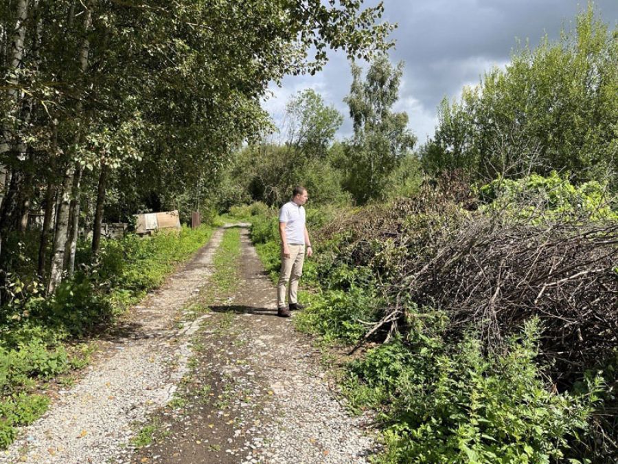 Председателю СНТ "Лесное" будет направлено письмо о недопущении складирования опиленных ветвей деревьев