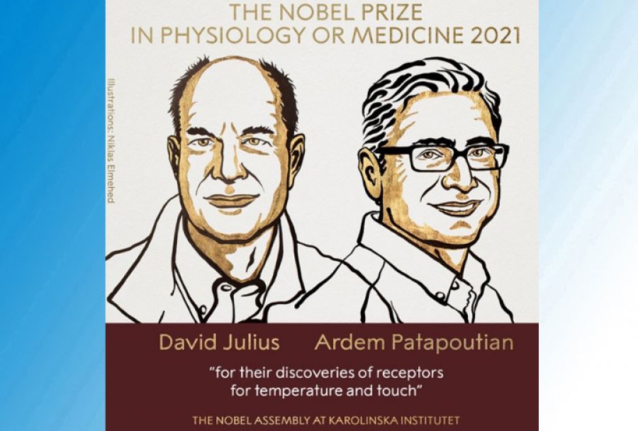 Нобелевскую премию по медицине присудили за открытие новых рецепторов
