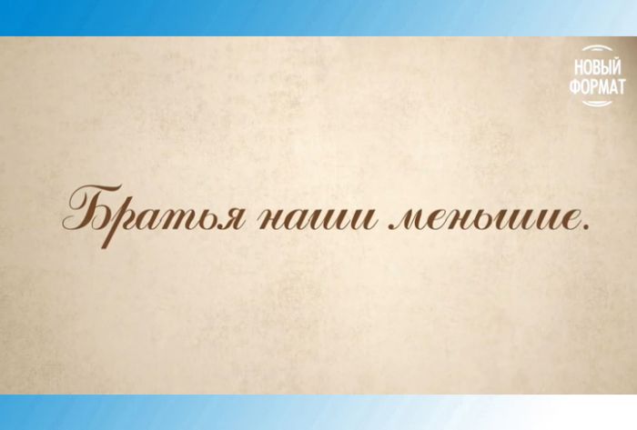 Рассказы о Хотькове для больших и маленьких. &laquo;Братья наши меньшие&raquo;