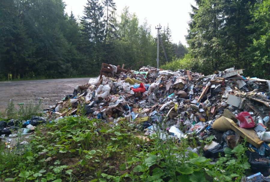 В 4-х точках Сергиево-Посадского округа пресечен несанкционированный сброс 52 кубометров мусора