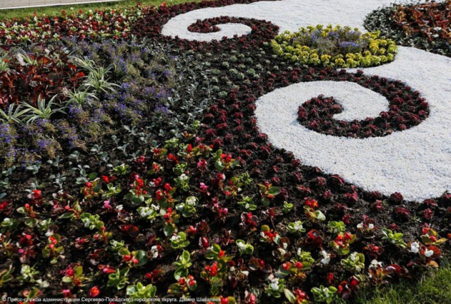 Принимайте участие в конкурсе на лучший цветник!