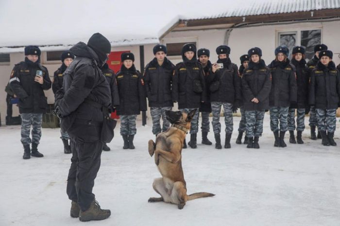 Показательные занятия для курсантов &laquo;Гвардейской смены&raquo; колледжа &laquo;Энергия&raquo;