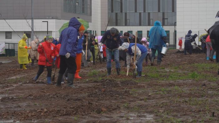Возле школы №21 высажен &laquo;Сад памяти&raquo;