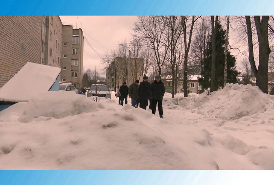 Депутатский объезд Константина Негурицы. Лесхоз