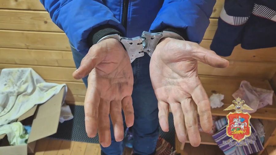 Преступная деятельность пресечена