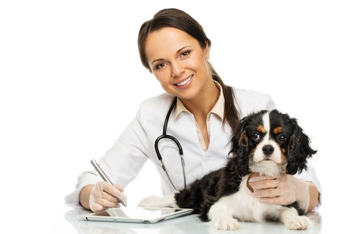 &laquo;Заслуженный ветеринарный работник&raquo;