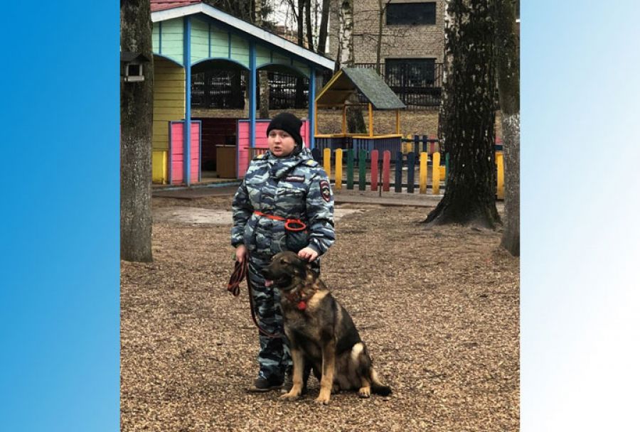 Сергиево-Посадские дошколята познакомились с профессией кинолога