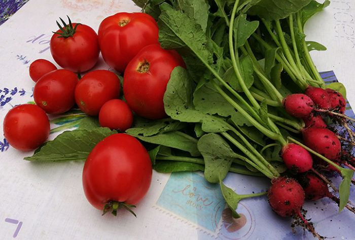 Более 6,5 тыс человек посетили ярмарку &laquo;Сад‑Огород&raquo; в Сергиевом Посаде