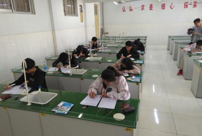 Десятилетняя девочка поступила в Технологический институт в Китае