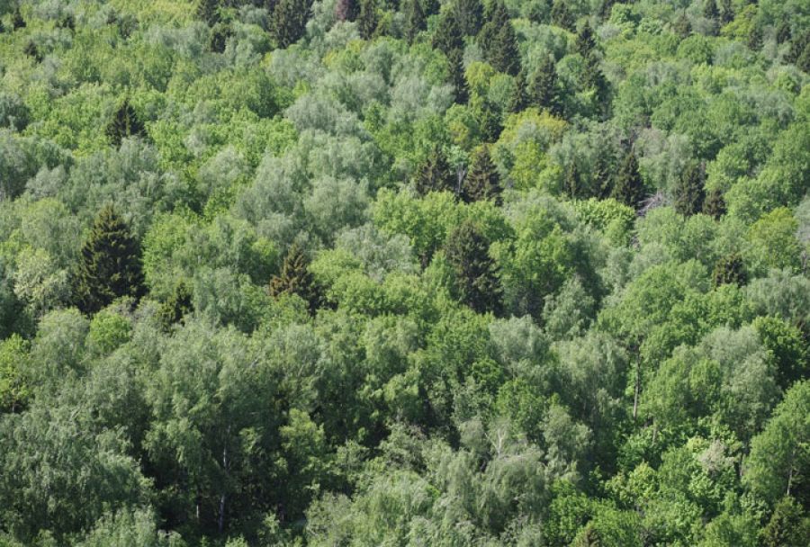 Заказник &quot;Журавлиная родина&quot; - в ТОП-3 заповедников для экологического туризма
