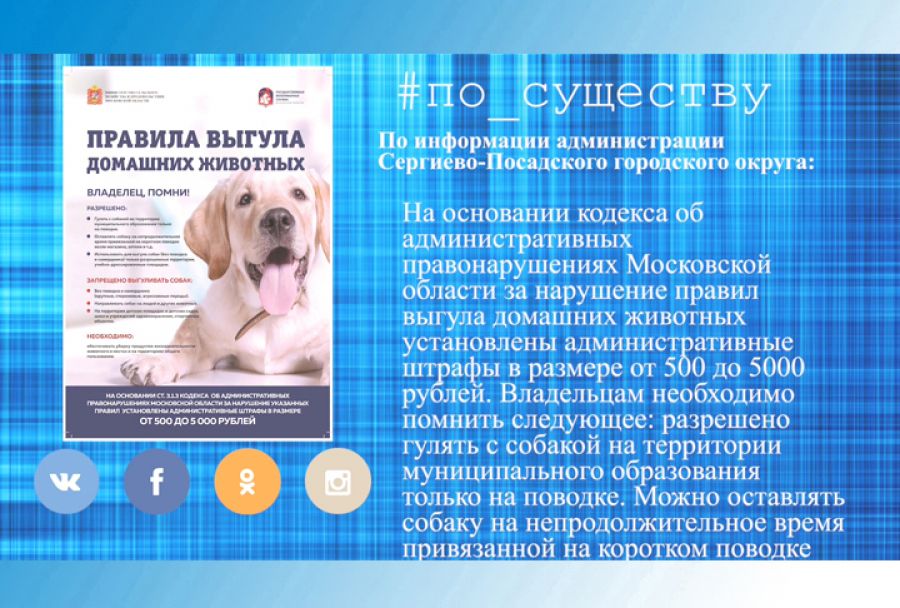 По существу. Правила выгула собак